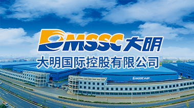 大明国际控股有限公司